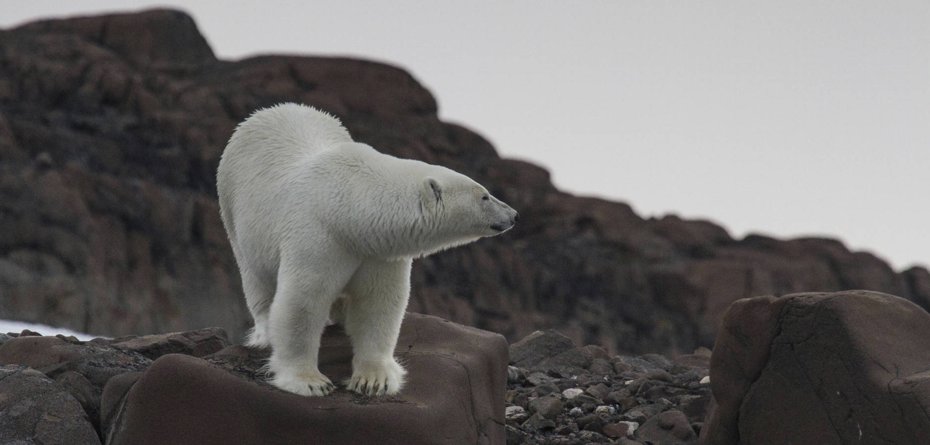 FOTO & GRAFIK Joachim Haschek.