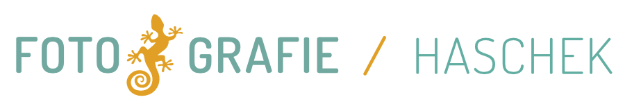 FOTOGRAFIE  Joachim Haschek