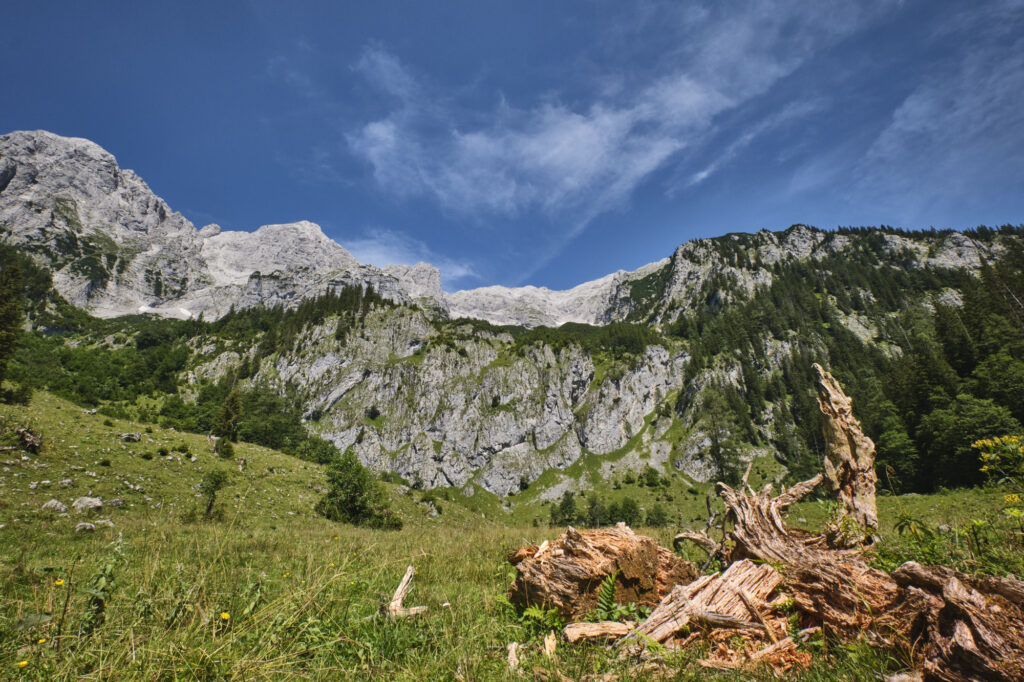 Reportage, Nationalpark Gesäuse