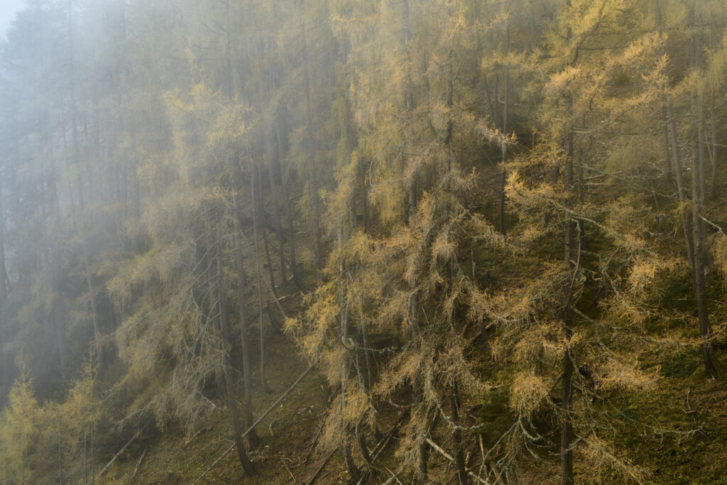 Repoprtage, Steiermark, Gössek