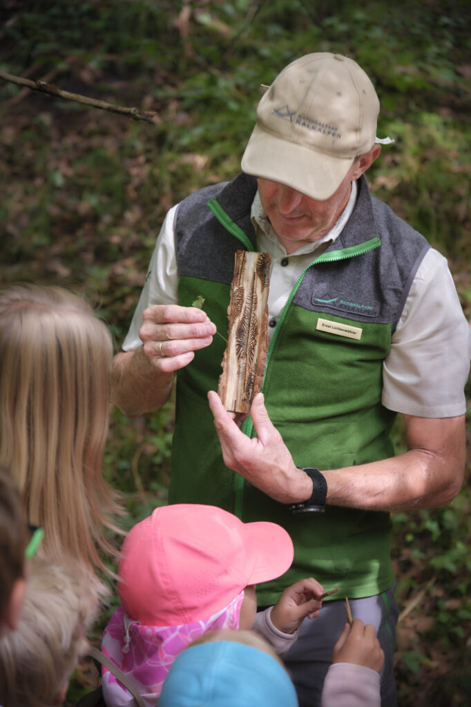 Reportage, Nationalpark Kalkalpen