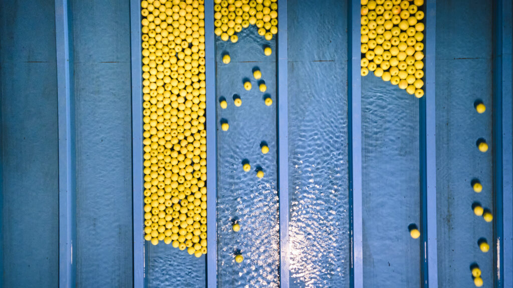 Reportage, Obst Oswald, Prebensdorf, Apfelwaschanlage