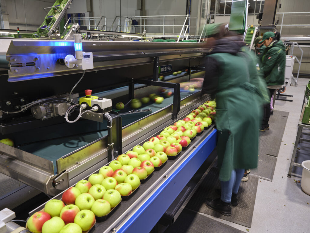 Reportage, Obst Oswald, Prebensdorf