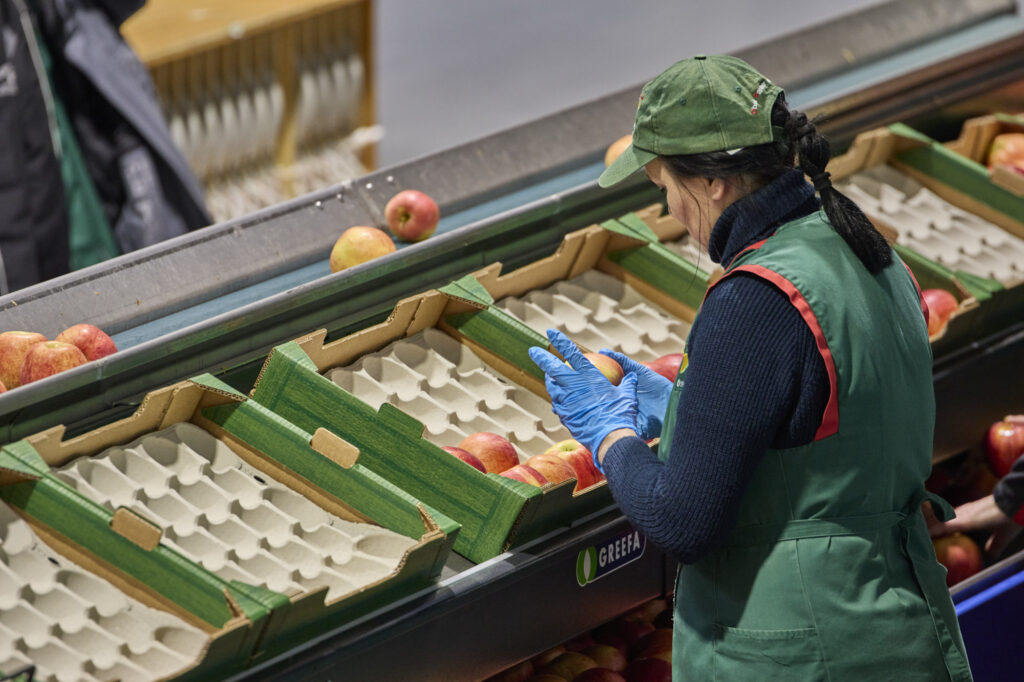 Reportage, Obst Oswald, Prebensdorf
