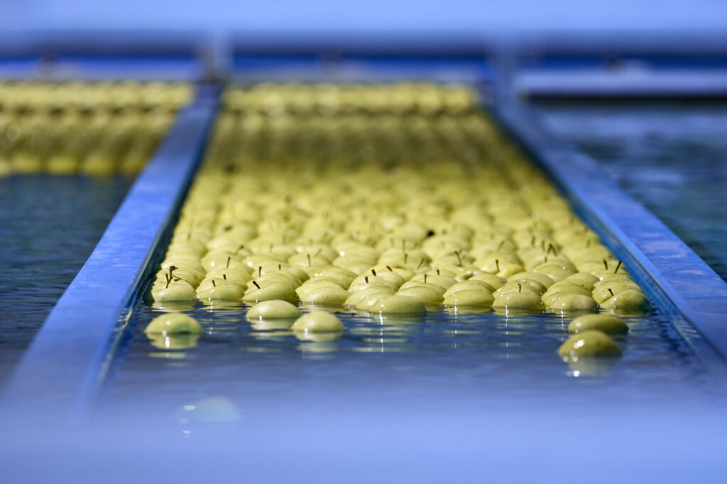 Reportage, Obst Oswald