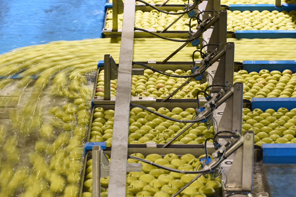 Reportage, Obst Oswald, Prebensdorf, Apfelwaschanlage