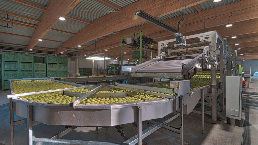 Reportage, Obst Oswald, Prebensdorf, Sortier- und Abpackstraßen