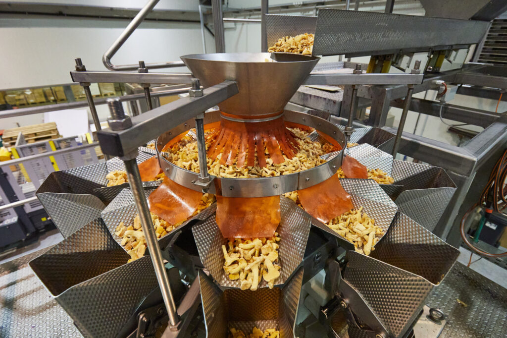 Reportage, Obst Oswald, Eierschwammerl