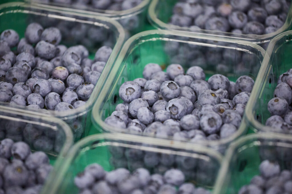 Reportage, Obst Oswald, Prebensdorf