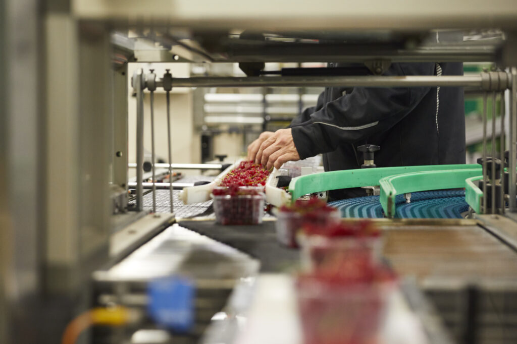 Reportage, Obst Oswald, Prebensdorf