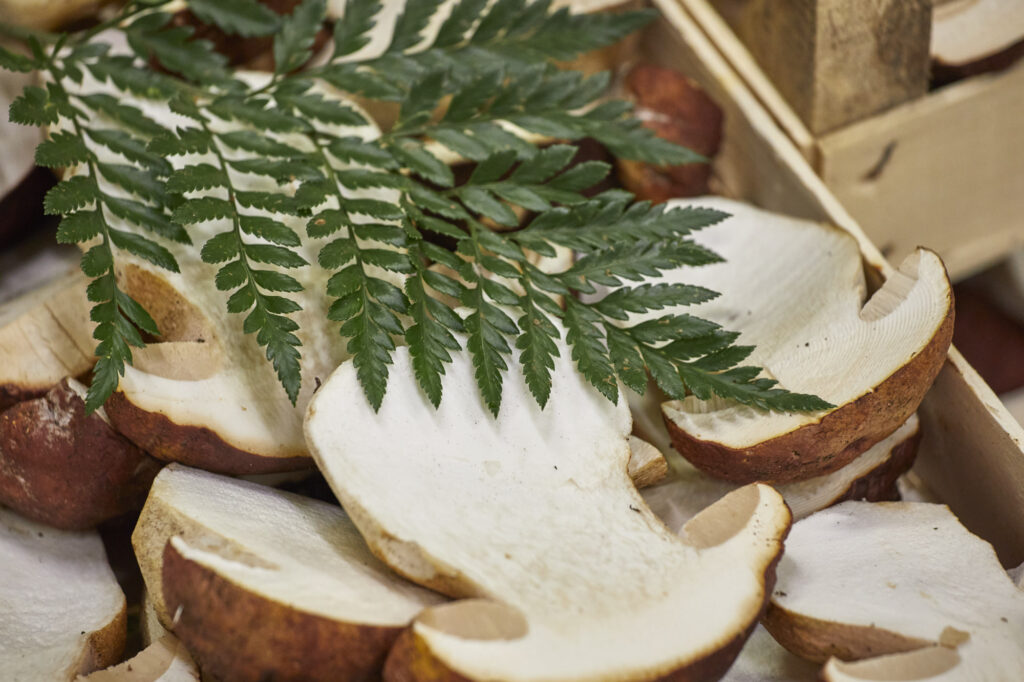 Reportage, Obst Oswald