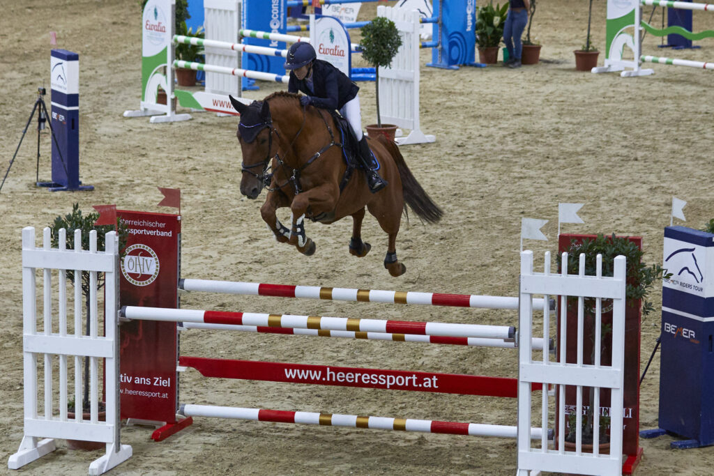 Reportage, Pferdemesse, Show