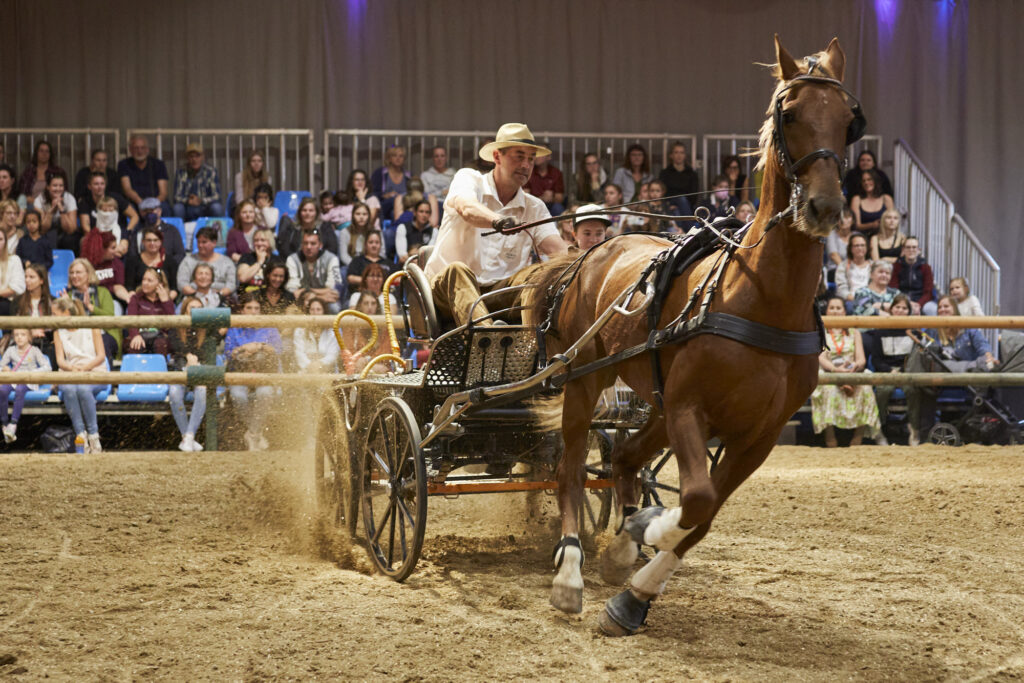 Reportage, Pferdemesse, Show