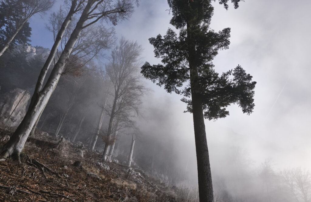 Reportage, Grazer Bergland, Röthelstein