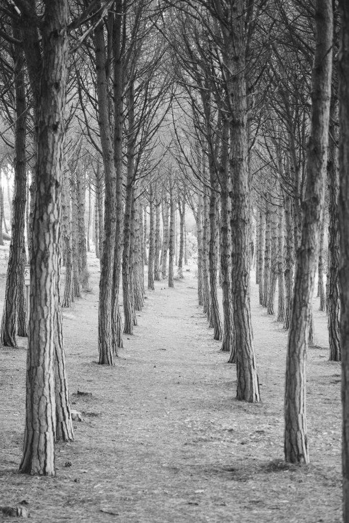 Reportage, Sardinien