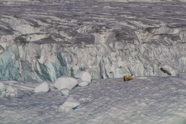 Reportage, Spitzbergen