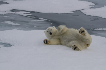 Fotoexpedition Spitzbergen