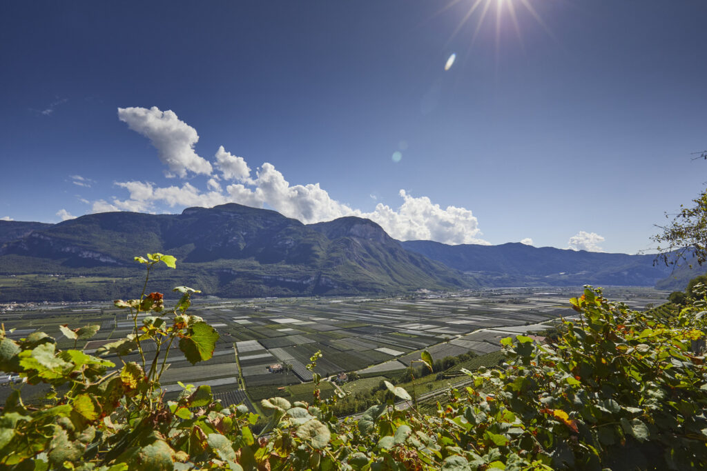 Reportage, Südtirol