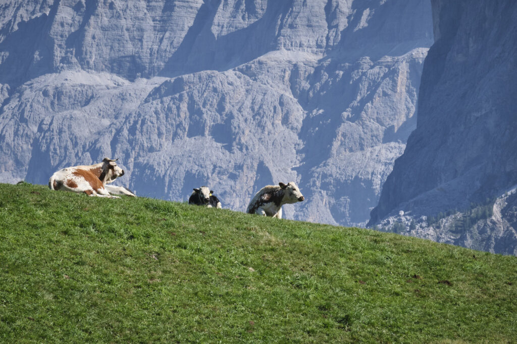 Reportage, Südtirol, Seiser Alm